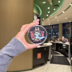 Vente en gros d'aimants de réfrigérateur en papier 3D <span class=keywords><strong>Pokémon</strong></span> Pirates - Articles de collection d'anime haut de gamme, emballage sous blister - Product Image 2