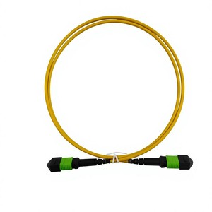 <span class=keywords><strong>สาย</strong></span>เคเบิลใยแก้วนำแสง MPO ระดับพรีเมียม พร้อมสายแพทช์คอร์ดแบบมัลติโหมด OM3 24 คอร์ <span class=keywords><strong>50</strong></span>/125 - Product Image 1