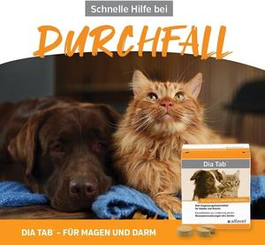 Köpekler ve Kediler için Akut İshal Rahatlatıcı ve Bağırsak İyileştirici, Çiğnenebilir Tabletler, OEM ODM Diyet Takviyesi - Product Image 3