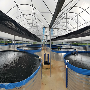 Bomba de Calor Eléctrica para Piscinas, Spas y Estanques de Peces, de Alta Eficiencia Energética, para Calefacción y Refrigeración de Agua - Product Image 4