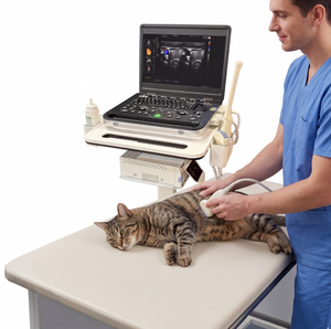 Échographe vétérinaire couleur Doppler 3D, système d'échographie et accessoires d'échographie - <span class=keywords><strong>Prix</strong></span> - Product Image 2