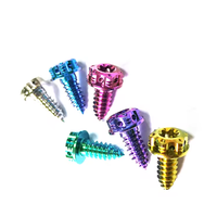 Vente en gros de vis autotaraudeuses à tête Torx GR5 en titane plaqué argent M4 M5 M6 pour moto Pan