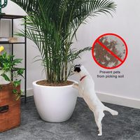 Lot de 3 piquets de protection de sol en plastique PP durable, design classique, découpables, pour empêcher chiens et chats de creuser dans les jardins