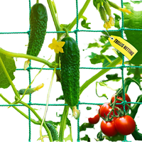 Max Yield Budget Choice Ultra Lichtgewicht Hittebestendig 30cm Mesh Maagdelijk HDPE Heavy Duty Ranknet Fruitbescherming Kalkoennet Huis
