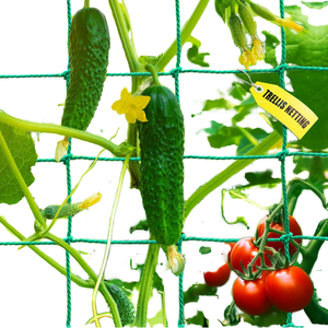 Red de Escalada Verde para Plantas, Malla de Soporte para Vegetales, Enrejado de Jardín, Tamaño Personalizado - Product Image 1