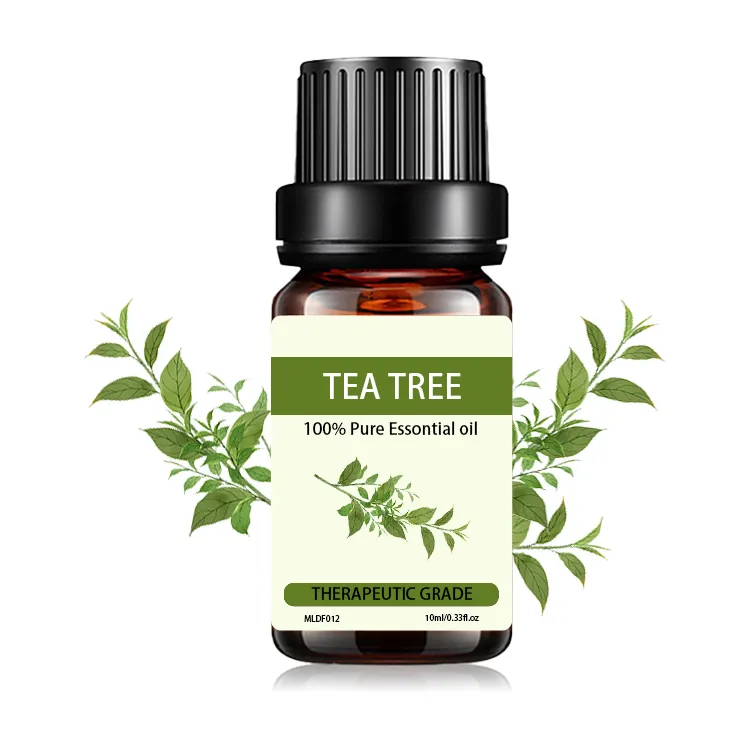 Private label Essential Oils Organic10mL Therapeutic grade Australian Tea Tree Oil Pure
