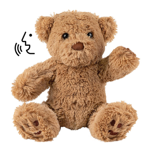 A105 Ultra Soft peluche orsi peluche con una stampa gioca tecnologia vocale unico regalo per bambini peluche orsacchiotto con registratore - Product Image 1