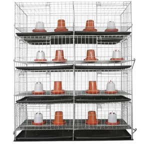Jaula para Pollos Tipo H con Diseño Automatizado para Ahorrar Espacio y Mejorar la Productividad Agrícola - Product Image 1