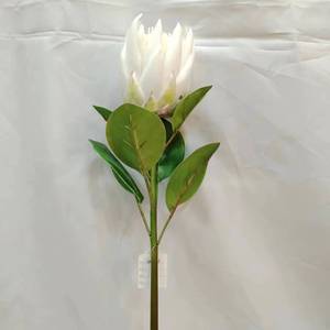 <span class=keywords><strong>Fleur</strong></span> artificielle <span class=keywords><strong>de</strong></span> protée royale <span class=keywords><strong>de</strong></span> haute qualité, toucher réel, <span class=keywords><strong>en</strong></span> soie, longue durée, pour la maison, les mariages, la fête des mères, la table - Product Image 2