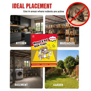 Pièges <span class=keywords><strong>à</strong></span> rats collants haute efficacité lutte antiparasitaire souris colle conseil <span class=keywords><strong>piège</strong></span> <span class=keywords><strong>à</strong></span> souris colle humaine <span class=keywords><strong>piège</strong></span> <span class=keywords><strong>à</strong></span> souris - Product Image 5