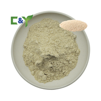 Extrait de levure en gros : additifs nutritionnels, poudre de levure alimentaire, extrait de levure en poudre enrichi en chrome