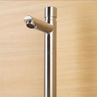 Accessoires de salle de bain en gros, robinet de lavabo à bouton-poussoir économiseur d'eau, arrêt automatique, fermeture automatique, temporisation, pour usage public