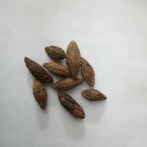 Album Cây Cỏ Khắc Khô Tự Nhiên Hạt Cây Hạt Ô Liu Hạt Ô Liu Tươi - Product Image 2