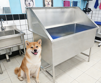 Station de lavage pour chiens professionnelle en acier inoxydable de qualité 304, baignoire pour animaux de compagnie de qualité commerciale pour le Royaume-Uni