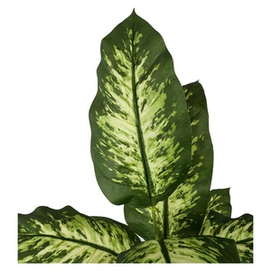 Planta artificial verde Rohdea en una maceta para decoración de interiores, 2 uds., 2 uds. - Product Image 3