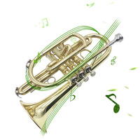 Wholesale High Quality B-flat Brass Instruments Professional Trumpet