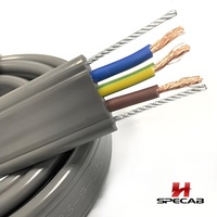 Câble festonné plat certifié CE, 4 conducteurs 2,5 mm² PVC/PUR avec câble en acier pour système de chariot de grue aérienne
