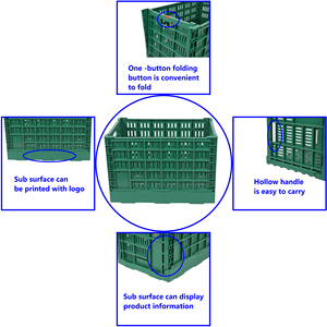 JOIN vente en gros 600x500x405mm caisses en <span class=keywords><strong>plastique</strong></span> empilables pliables et d'occasion ventilées pour le stockage des légumes - Product Image 4