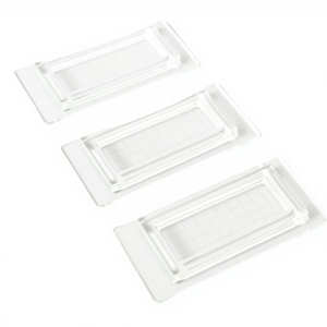 Chambre de comptage quantitative de haute précision pour la phyto- et algobionique et les œufs d'ascaris, format 20 mm x 20 mm - Product Image 1