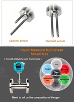 HRLS Thermal Gas Mass Flow Meter Stainless Steel DN25-200 No Temperature/Pressure Compensation Oxygen Compressed Air Flowmeter