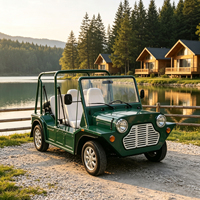 Voiture électrique Moke personnalisée, couleur au choix, batterie lithium 96V, buggy de plage rétro, châssis tout aluminium, véhicule de villégiature