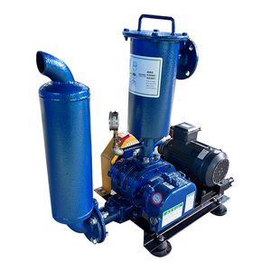 Souffleur Roots à pression négative spécialisé pour l'évacuation des gaz d'échappement et le transport des particules - Fournisseur direct d'usine et OEM accepté - Product Image 4