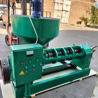 Grote Capaciteit 20T/Dag Oliepersmachine Goedkope Schroef Olie Exaction Machine
