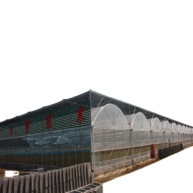 China Manufacturer Competitive aluminum green house net net with various System for tomatoes Growing