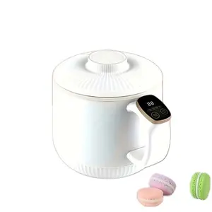 Europese Standaard Stekker Draagbare Elektrische Anti-Aanbakoven Multi-Functionele Mini Rijstkoker Keuken Familie Slaapzaal Hot Pot