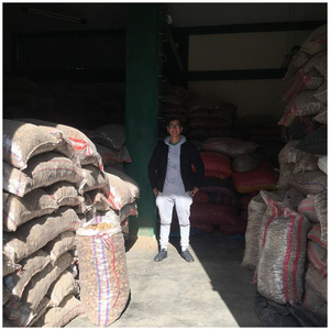 Polvo de raíz de Maca Roja Peruana, producto en oferta, precio al por mayor, excelente calidad, a granel, orgánico, 100%, de Perú - Product Image 4