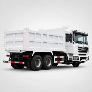 Camión Volquete F3000 Nuevo, 30 Toneladas, 40 Metros Cúbicos de Capacidad, Camión Volquete de Servicio Pesado en Venta - Product Image 4