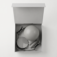 Kit de Yoga et Pilates Professionnel avec Logo Personnalisé : Anneau de Pilates, Ballon de Pilates, Lest de Cheville, Bandes de Résistance en Tissu et Ballon de Yoga