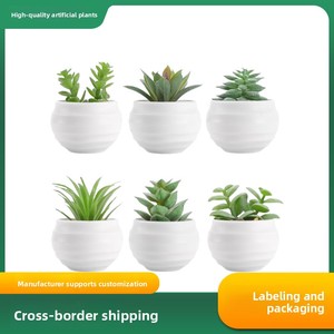 Artificial Succulent Realistic Eco-Friendly Handmade Modern Plastic <strong>Bonsai</strong> for Office Desktop and Home Small Potted Decor - Product Image 2