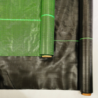 Toile de paillage anti-herbe en HDPE noir et vert de haute qualité, moulée par soufflage, avec service de découpe pour projets d'aménagement paysager et parterres de fleurs