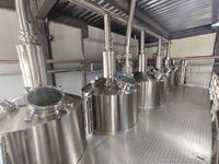 Équipement de brassage de bière artisanale de 1000L, système de micro-brasserie automatique pour brasserie artisanale