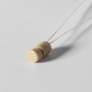 1.9 mm Eastern <b>Push</b> <b>Button</b> Memory <b>Switch</b> Spare Parts for Customized CIC/ITC/ITE 1.9 mm <b>Push</b> <b>Button</b> Memory <b>Switch</b> - Product Image 2