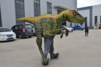 Costume de dinosaure Velociraptor réaliste de Zigong, en plastique robuste, avec jambes apparentes, tailles personnalisées, pour parcs d'aventure et aéroports