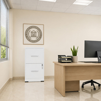 Archivador de Acero Laminado en Frío al por Mayor con Superficie Resistente al Desgaste para Salas Administrativas Escolares