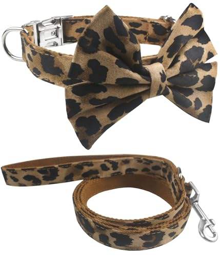 Collar Leash Set - Leopard Print