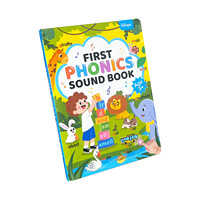 Livre sonore de phonétique pour enfants, rechargeable par USB, livre audio éducatif pour l'apprentissage précoce, livre sonore interactif pour l'entraînement linguistique des enfants