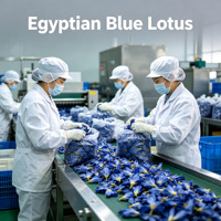 Fleur de lotus bleue fraîche en vrac, herbe naturelle, thé en vrac sous vide pour thé minceur