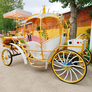 Calèche électrique en forme de citrouille, blanche, style européen, pour mariage de princesse royale, à vendre - Product Image 6