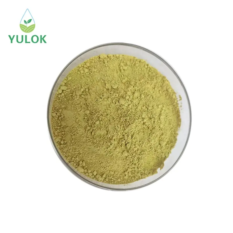Factory Supply High Fisetin Extract Powder 98% Smoketree Extract Powder