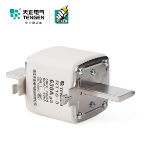 Fusibles céramiques à action rapide Tengen Rt16-3 630A gG 500V 120kA haute tension pour protection électrique - Product Image 2