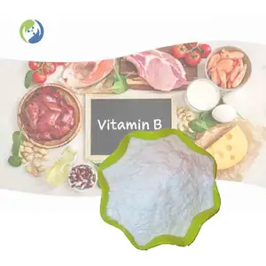 Suppléments en vrac certifiés halal complexe b poudre de vitamines Complexe de vitamine B