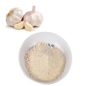 Good Quality 100% Pure Dehydrated Garlic Powder