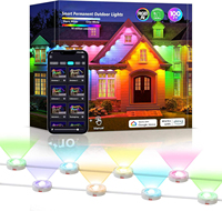 Nouvel éclairage de Noël de couleur magique RVB imperméable à l'eau de LED avec des caractéristiques décoratives IP67 pour les parcs à thème