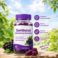 Gummies de sureau HACCP Halal USDA, enrichies en Vitamine C, Vitamine D et Zinc, saveur naturelle de baies, 60 unités, soutien immunitaire, emballage personnalisé OEM