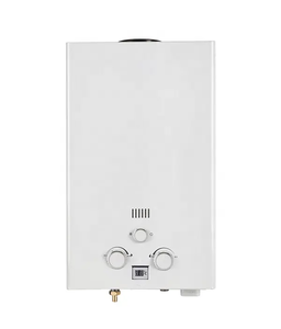 Calentador <span class=keywords><strong>de</strong></span> agua a gas natural montado en la pared 2024 Fácil <span class=keywords><strong>de</strong></span> usar Calentamiento rápido Estilo instantáneo 10L 12L Acero Precio sin tanque Aplicación al aire libre - Product Image 2