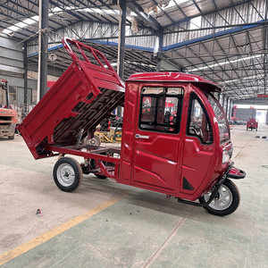 Potente Triciclo Elettrico da Carico per Adulti 1000W/1200W Bici <span class=keywords><strong>Cargo</strong></span> a Tre Ruote Motorizzata - Product Image 1